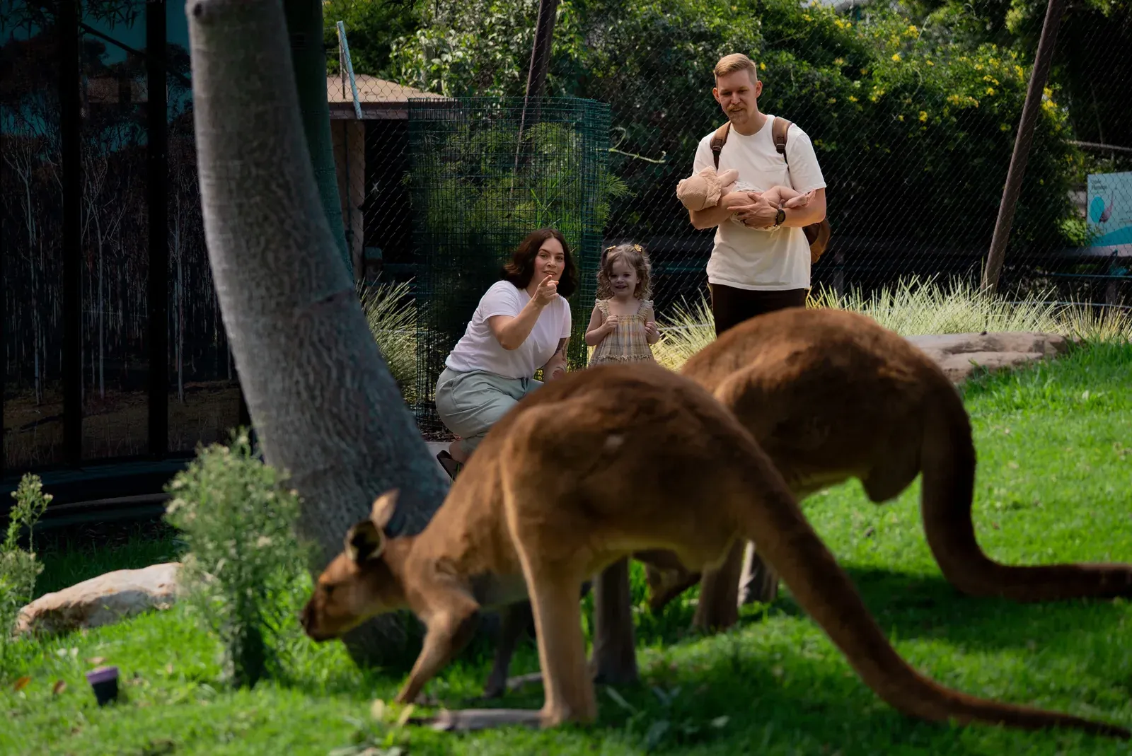The Santa Barbara Zoo